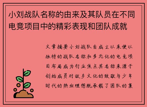 小刘战队名称的由来及其队员在不同电竞项目中的精彩表现和团队成就